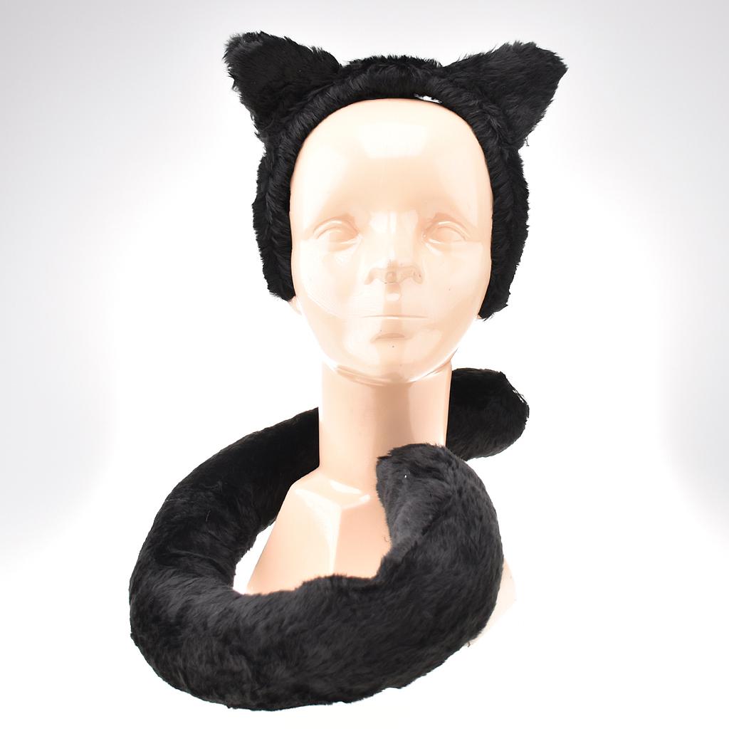 Conjunto de gato