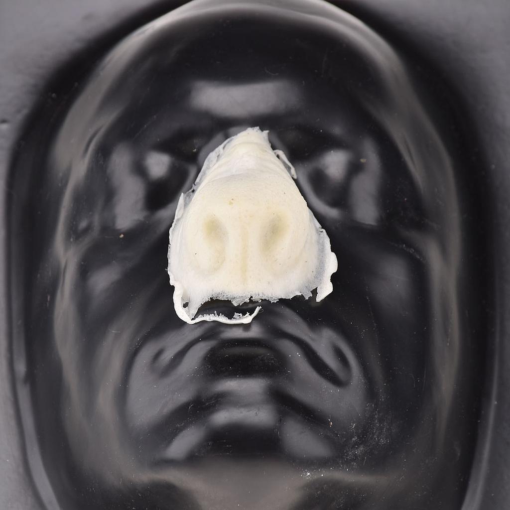 Prostético de nariz de foam Mod. 4 Criatura