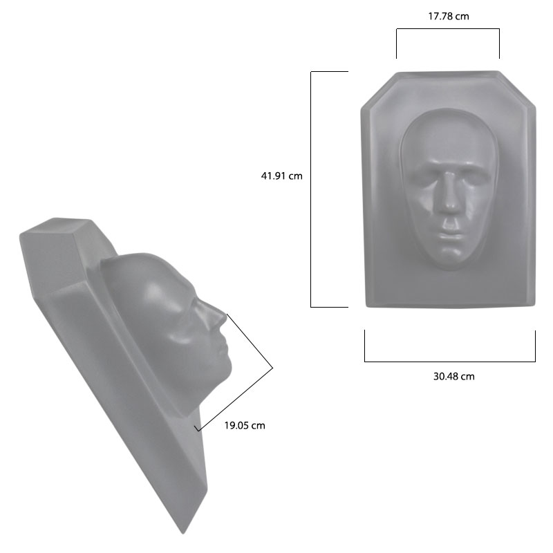 Rostro para modelado
