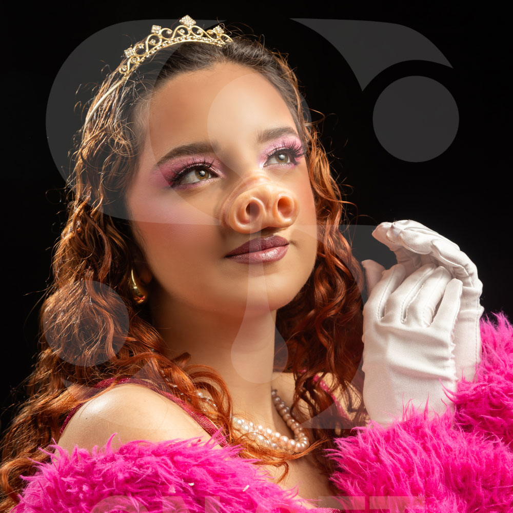 Prostético de Nariz de Cerdo