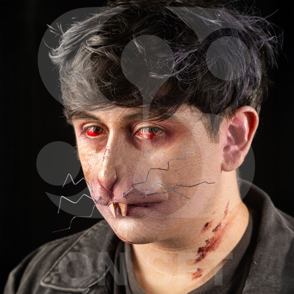 Prostético de Roedor