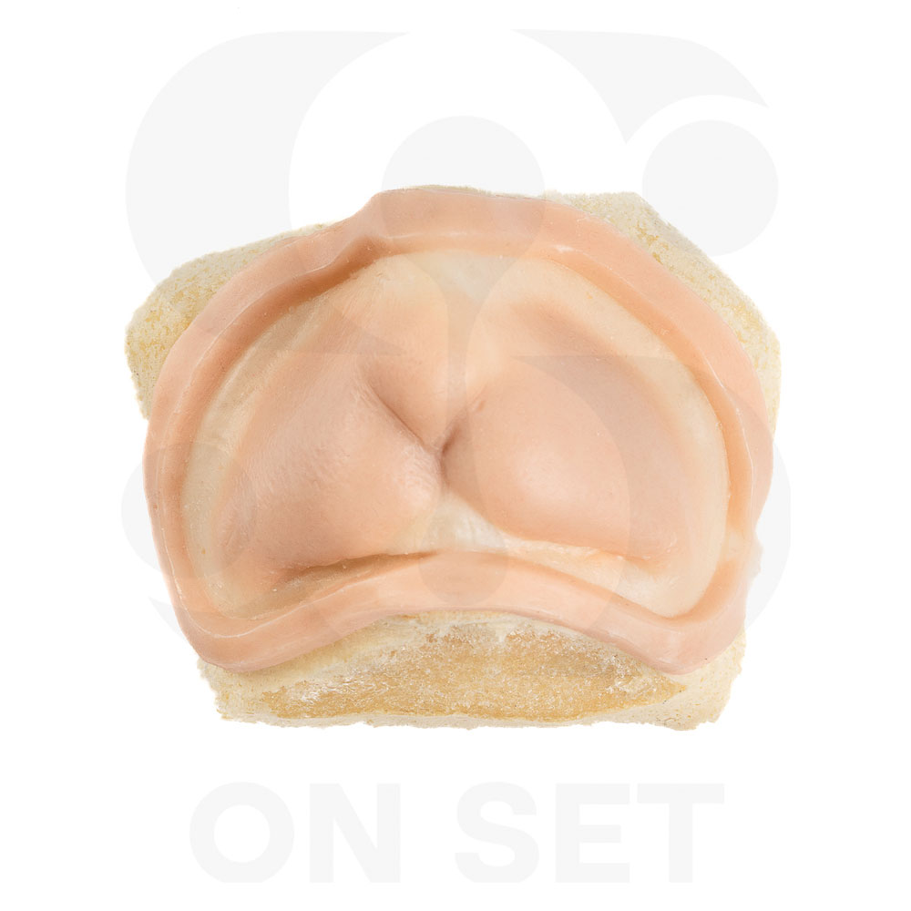 Prostético de Roedor