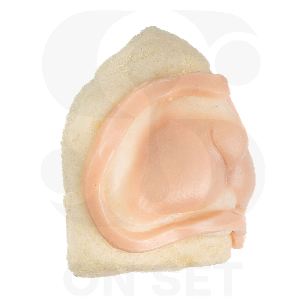 Prostético de Roedor