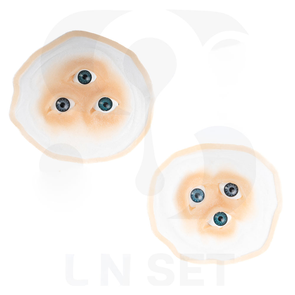 Prostético de Ojos Triple