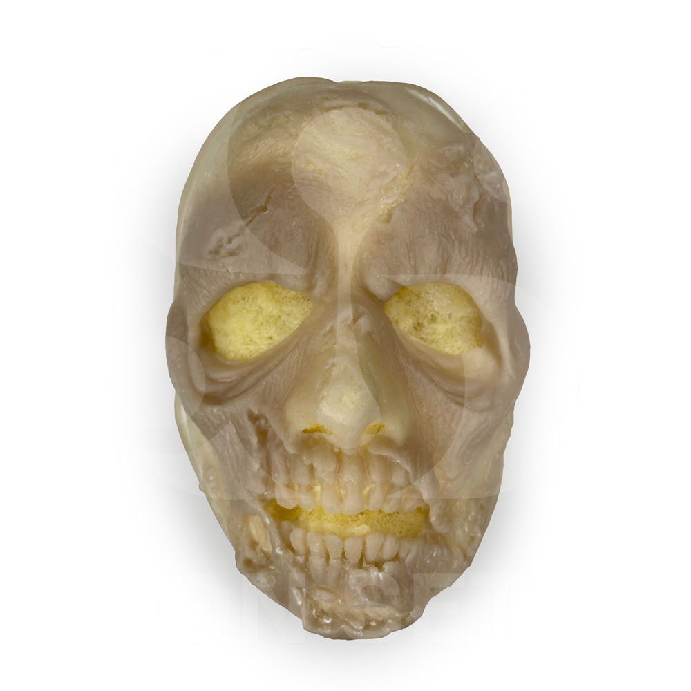 Prostético de Zombie 2 (silicón)